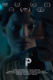 P 2017 one on netflix
