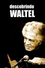 Descobrindo Waltel 2005 one on netflix