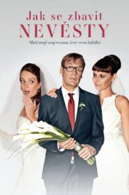 Jak se zbavit nevěsty 2016 one on netflix