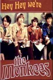 Hey, Hey, We’re The Monkees 1997 one on netflix