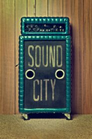 Sound City 2013 one on netflix
