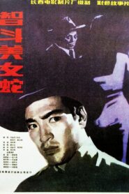 智斗美女蛇 1984 one on netflix