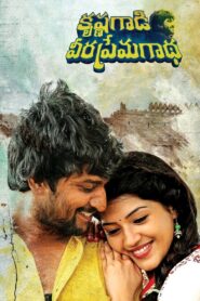 Krishna Gaadi Veera Prema Gaadha 2016 one on netflix