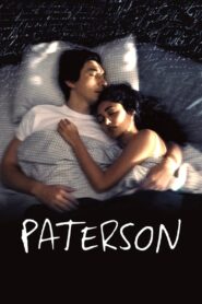 Paterson 2016 one on netflix