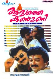 Aadyathe Kanmani 1995 one on netflix