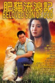 The Beloved Son of God 1988 one on netflix
