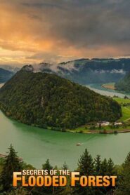 Secrets of the Flooded Forest – Danube National Park 2011 one on netflix