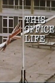 This Office Life 1984 one on netflix