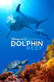 Dolphin Reef 2018 one on netflix