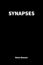 Synapses 1981 one on netflix