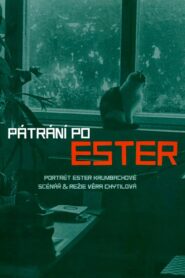 Searching for Ester 2005 one on netflix