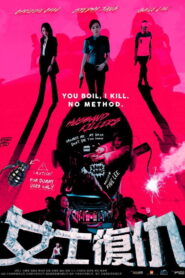 Husband Killers 2017 one on netflix