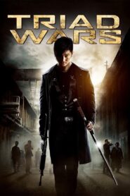 Triad Wars 2008 one on netflix