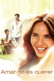 Amar no es Querer 2011 one on netflix