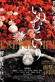 The Dog Bridegroom 2017 one on netflix