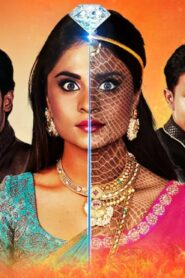 Naagini 2021 one on netflix