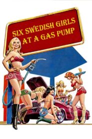 Six Swedish Girls at a Pump 1980 one on netflix
