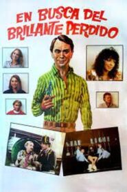 En busca del brillante perdido 1986 one on netflix