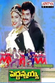 Peddannayya 1997 one on netflix