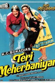 Teri Meherbaniyan 1985 one on netflix