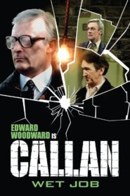 Wet Job 1981 one on netflix