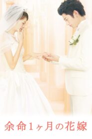 April Bride 2009 one on netflix