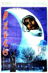 The Jade King 1993 one on netflix