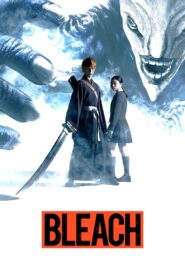 Bleach 2018 one on netflix