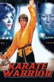 Karate Warrior 1987 one on netflix