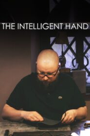 The Intelligent Hand 2015 one on netflix