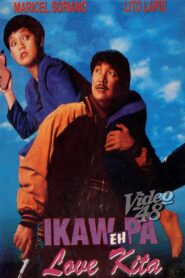 Ikaw Pa… Eh Love Kita 1995 one on netflix