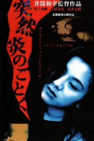 Tsutsumi honoo no gotoku 1994 one on netflix