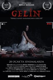 Gelin 2022 one on netflix