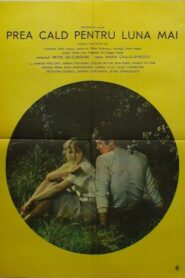 Prea cald pentru luna mai 1984 one on netflix