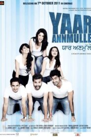 Yaar Anmulle 2011 one on netflix