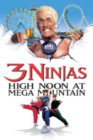 3 Ninjas: High Noon at Mega Mountain 1998 one on netflix