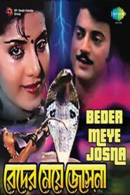 Beder Meye Josna 1991 one on netflix