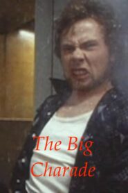 The Big Charade 2003 one on netflix