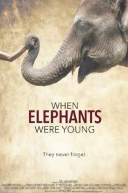 When Elephants Were Young 2016 one on netflix