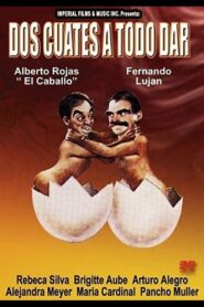 Dos cuates a todo dar 1990 one on netflix