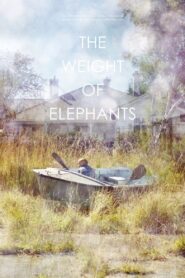The Weight of Elephants 2013 one on netflix
