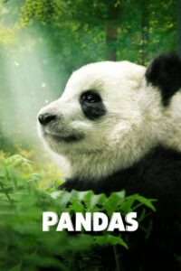 Pandas 2018 one on netflix