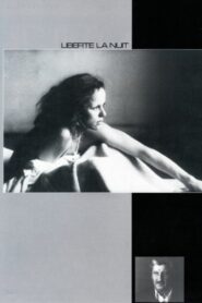 Liberty at Night 1984 one on netflix