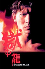 Dragon in Jail 1990 one on netflix