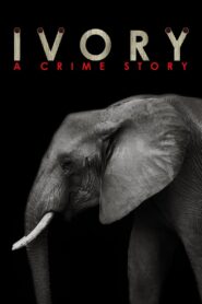 Ivory. A Crime Story 2016 one on netflix