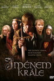 Jménem krále 2009 one on netflix