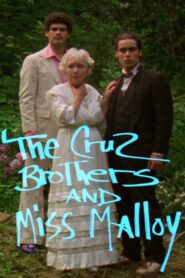 The Cruz Brothers and Miss Malloy 1980 one on netflix