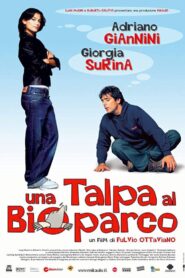 Una talpa al bioparco 2004 one on netflix