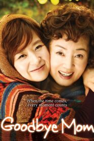 Goodbye Mom 2009 one on netflix