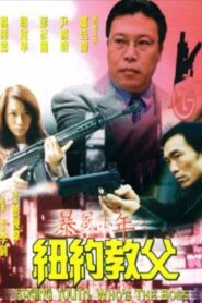 Raging Youth: Who’s the Boss 1999 one on netflix